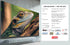 Intex 40" Full HD Smart Android 9.0 LED TV | LED-SHV4040